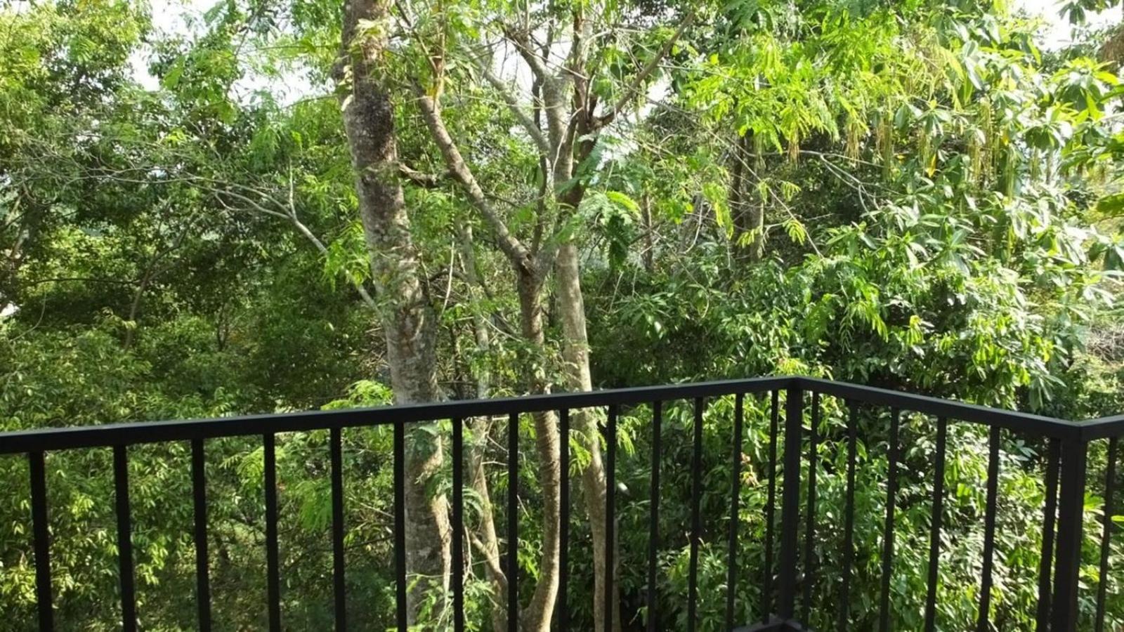 Villa Arunalu Kandy Buitenkant foto